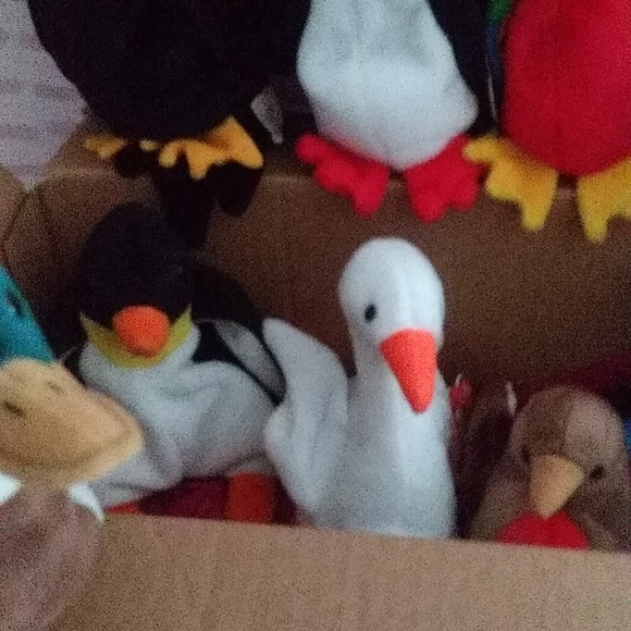 Ty Birds of a Feather Bundle of 10 VINTAGE RARE NWT - Picture 3 of 5